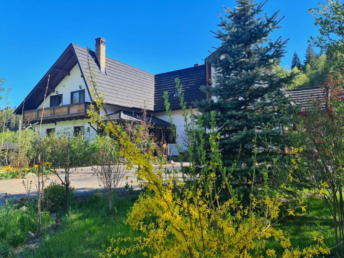 Casa Baciu Ξενοδοχείο Fundu Moldovei Εξωτερικό φωτογραφία